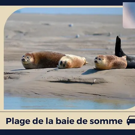 Le Pluvier D 'or Lejlighed